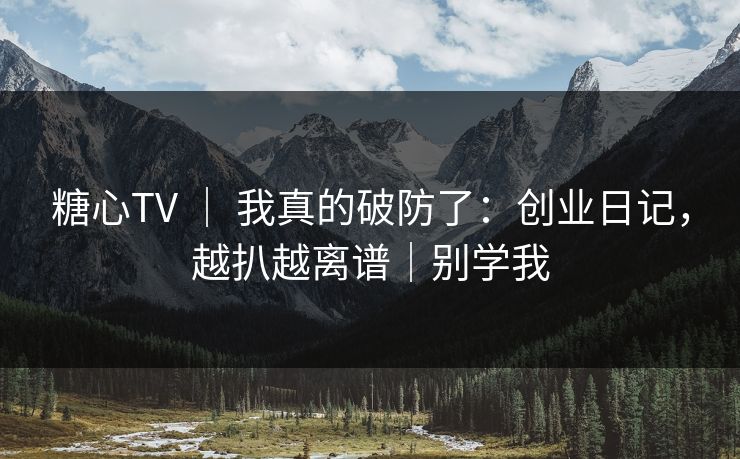 糖心TV ｜ 我真的破防了：创业日记，越扒越离谱｜别学我