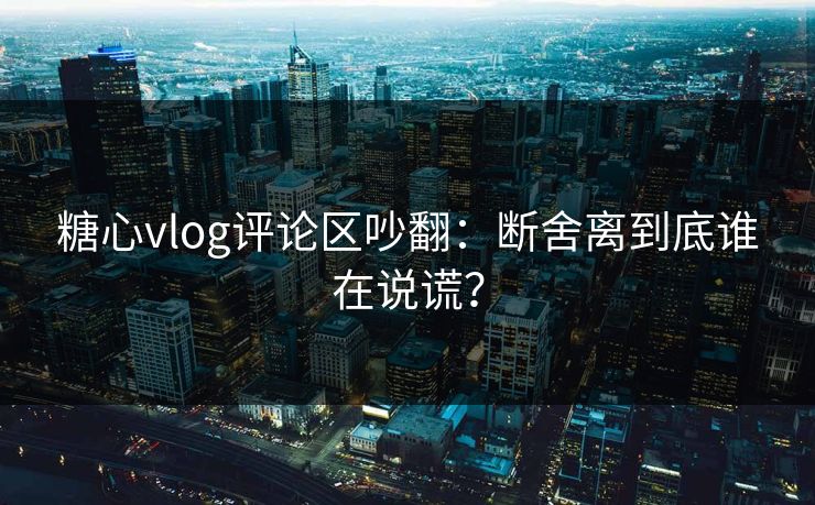 糖心vlog评论区吵翻：断舍离到底谁在说谎？