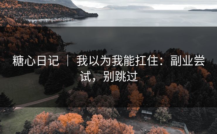 糖心日记 ｜ 我以为我能扛住：副业尝试，别跳过