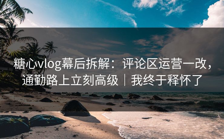 糖心vlog幕后拆解：评论区运营一改，通勤路上立刻高级｜我终于释怀了