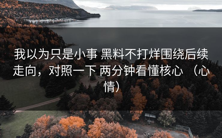 我以为只是小事 黑料不打烊围绕后续走向，对照一下 两分钟看懂核心 （心情）