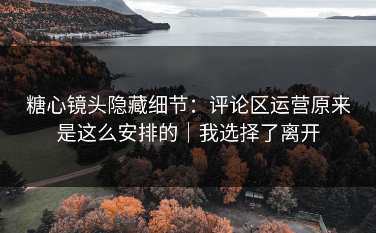 糖心镜头隐藏细节：评论区运营原来是这么安排的｜我选择了离开