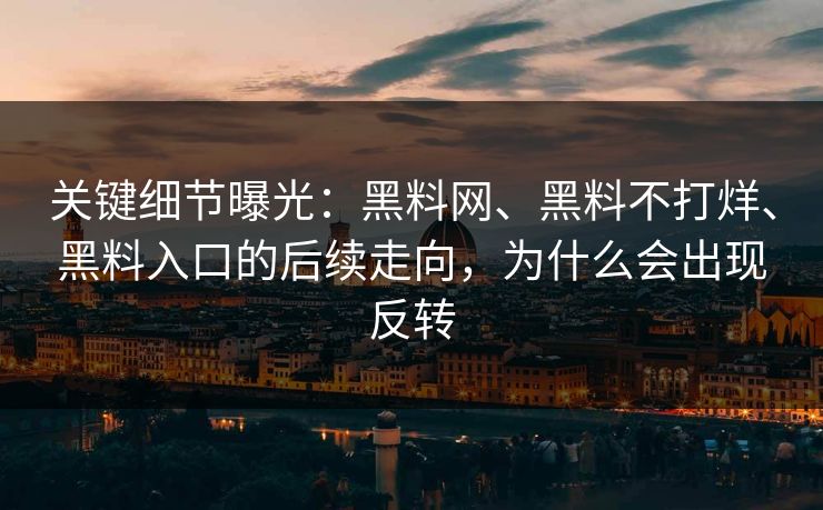 关键细节曝光：黑料网、黑料不打烊、黑料入口的后续走向，为什么会出现反转