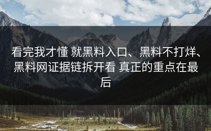 看完我才懂 就黑料入口、黑料不打烊、黑料网证据链拆开看 真正的重点在最后