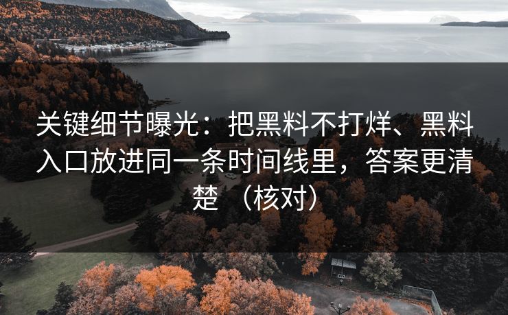 关键细节曝光：把黑料不打烊、黑料入口放进同一条时间线里，答案更清楚 （核对）