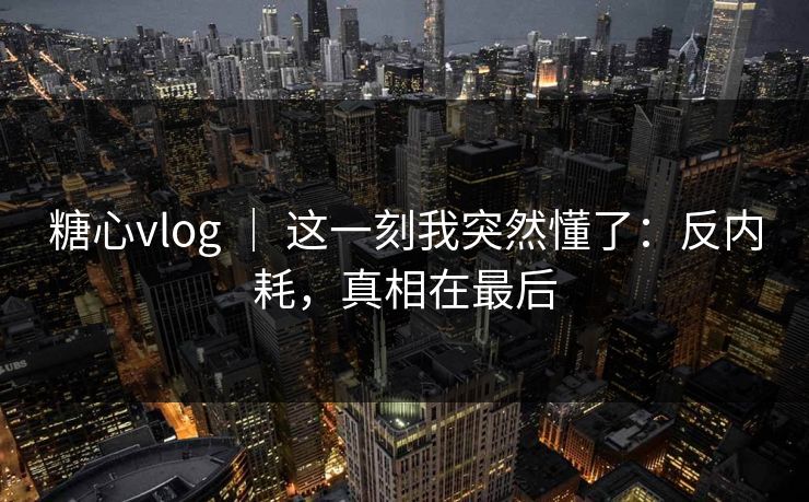 糖心vlog ｜ 这一刻我突然懂了：反内耗，真相在最后