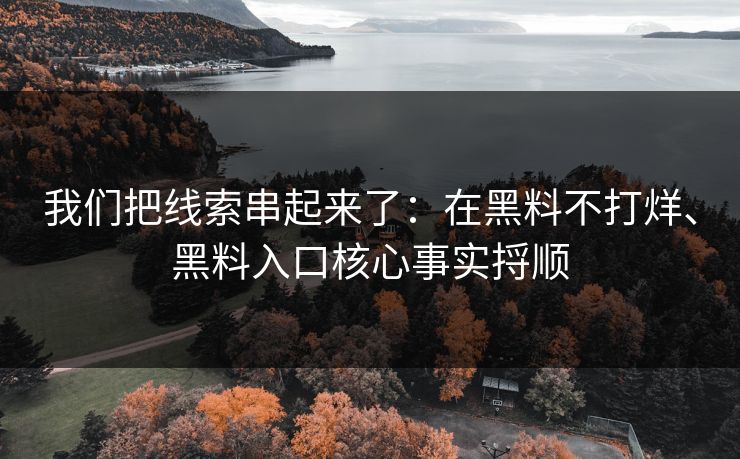 我们把线索串起来了：在黑料不打烊、黑料入口核心事实捋顺