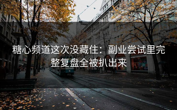 糖心频道这次没藏住：副业尝试里完整复盘全被扒出来