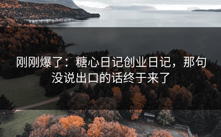 刚刚爆了：糖心日记创业日记，那句没说出口的话终于来了