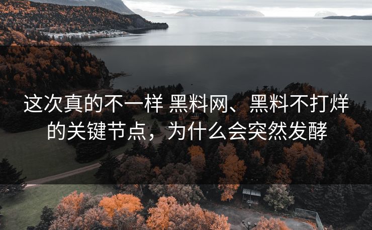 这次真的不一样 黑料网、黑料不打烊的关键节点，为什么会突然发酵