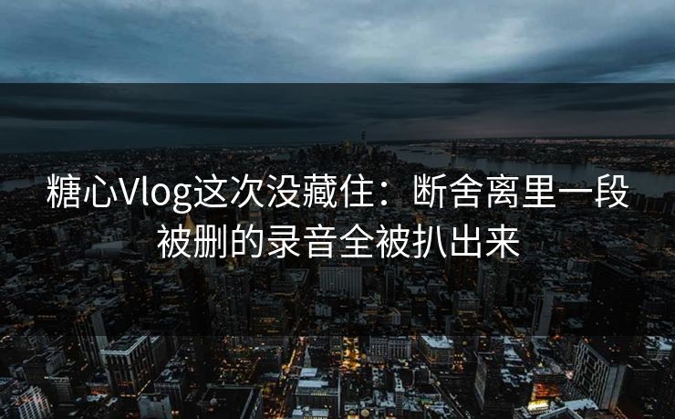 糖心Vlog这次没藏住：断舍离里一段被删的录音全被扒出来
