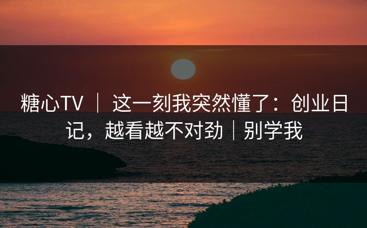 糖心TV ｜ 这一刻我突然懂了：创业日记，越看越不对劲｜别学我